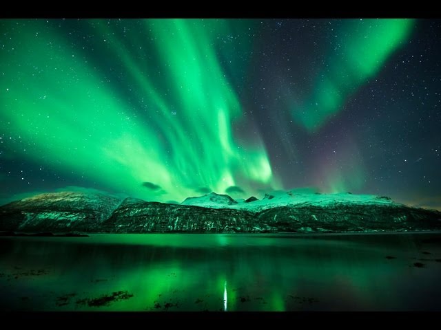 Norwegian Dream
