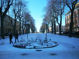 171214_Winter-in-sweden