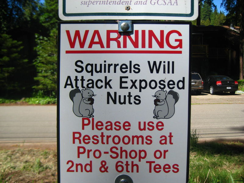 200115-funny-signs-4