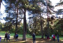 New sculpture park opened in Oslo