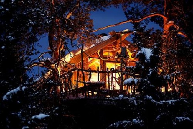 Summer Nights in the Norwegian Tree Top Cabins