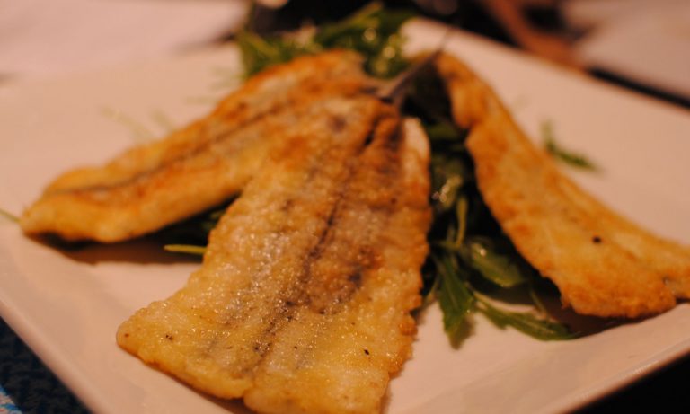 Scandinavian Garfish