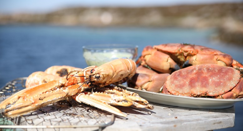 Scandinavian Common Crab