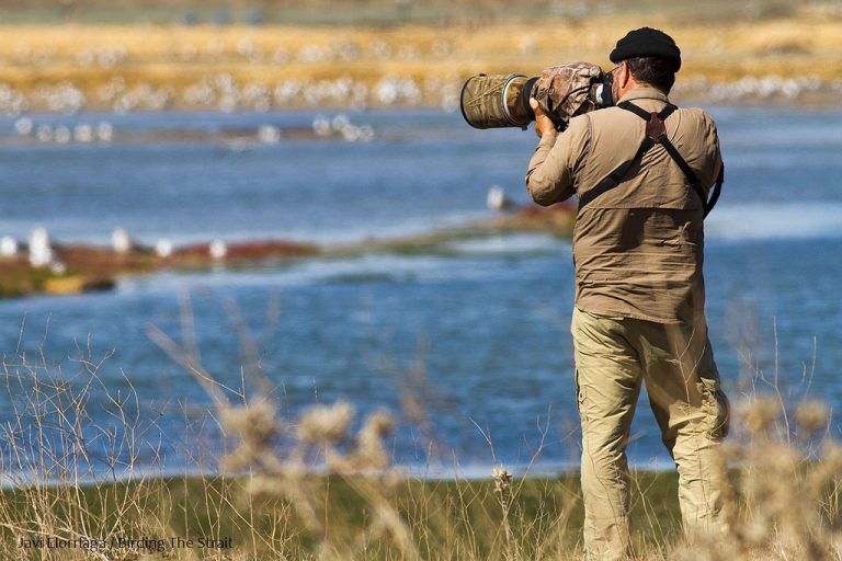 Swedish Ornithologist has Co-written Influential Handbook of Western Palearctic Birds