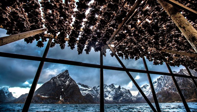 Dried Fish in Scandinavia