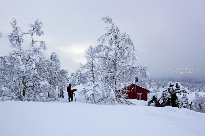 A Love Letter to Norway’s Winter Wonderland