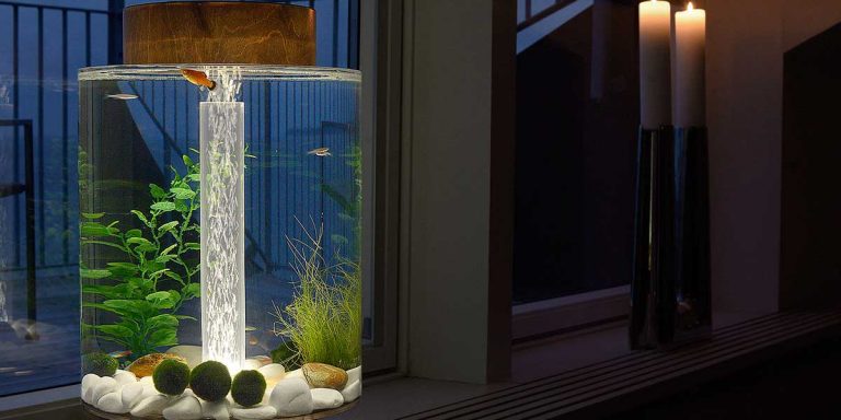 Practical Swedish Aquarium for Small Homes