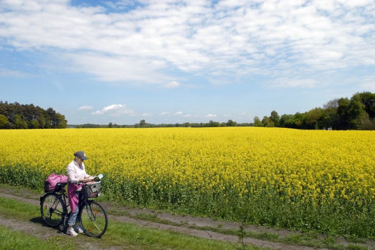 On Foot or by Bike on the Oxen Trail in Denmark