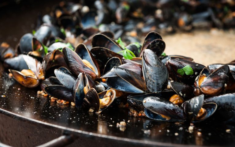 Shellfish Safaris in West Sweden