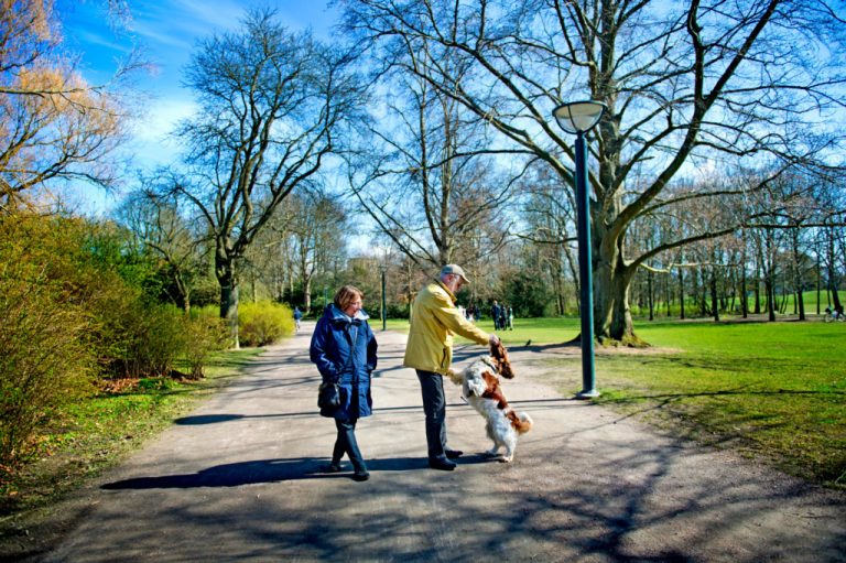 All The Reasons Why Sweden Is A Haven For Retirees
