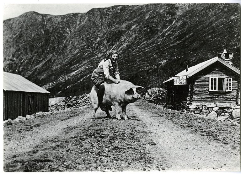 The Best of Postcards from Norway