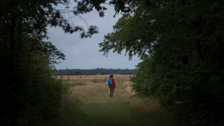 5 Unforgettable Hiking Trails in Denmark