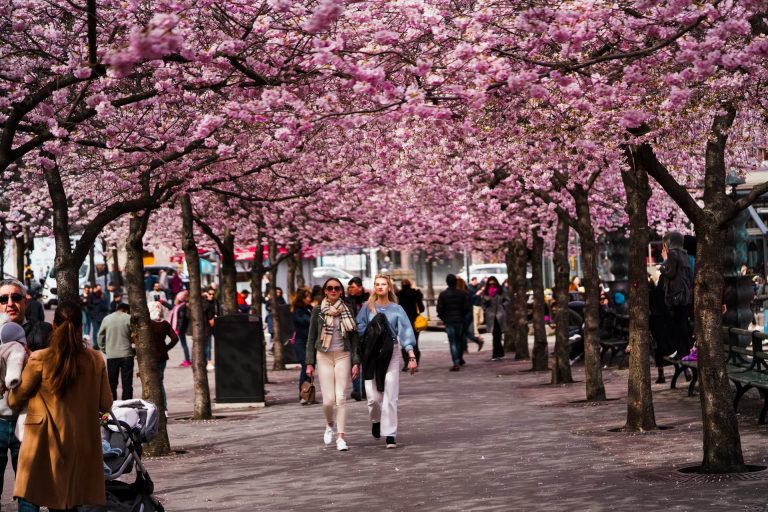 Coronavirus: Denmark and Norway Reluctant to Include Sweden in Tourism