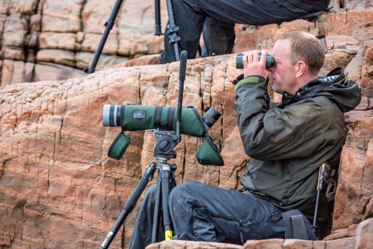 A Natural Born Birder in Norway