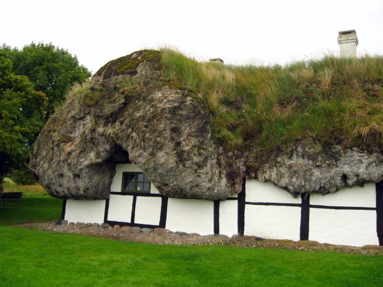 Danish Thatch For The Future