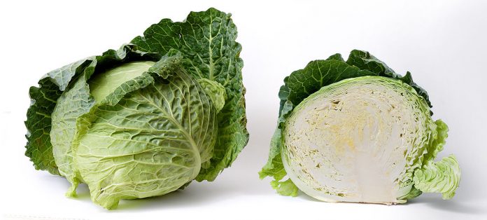 Scandinavian Cabbage & Kale