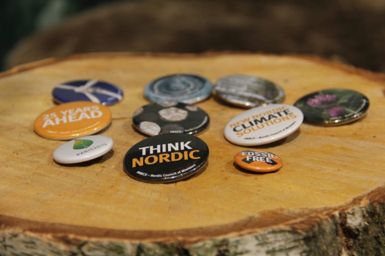 How the Nordics Are Standing Up to Climate Change