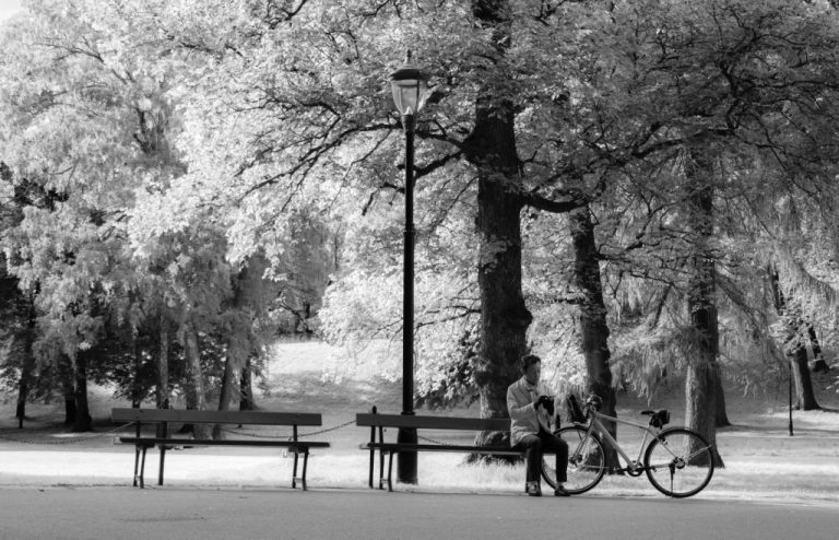 The Norwegian Palace Park in Oslo