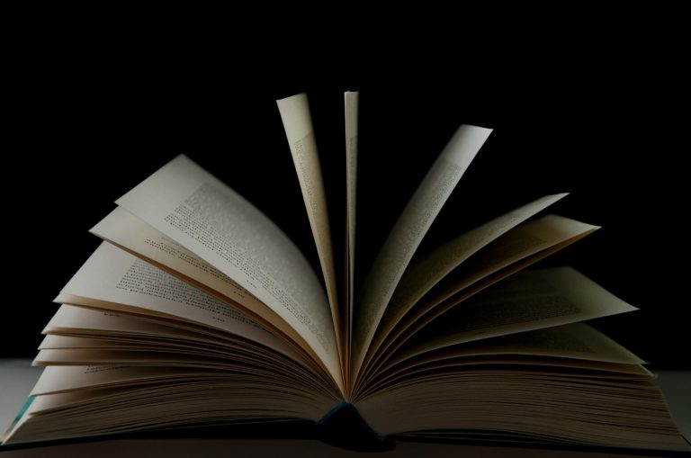 5 Best Contemporary Scandinavian Writers You Should Read