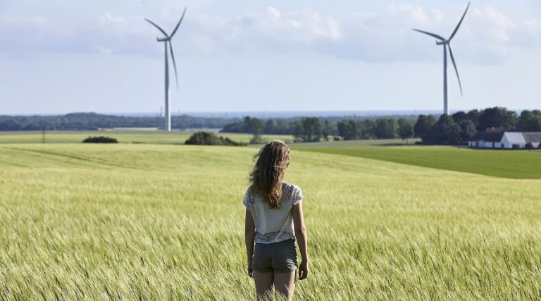 The Danish Way