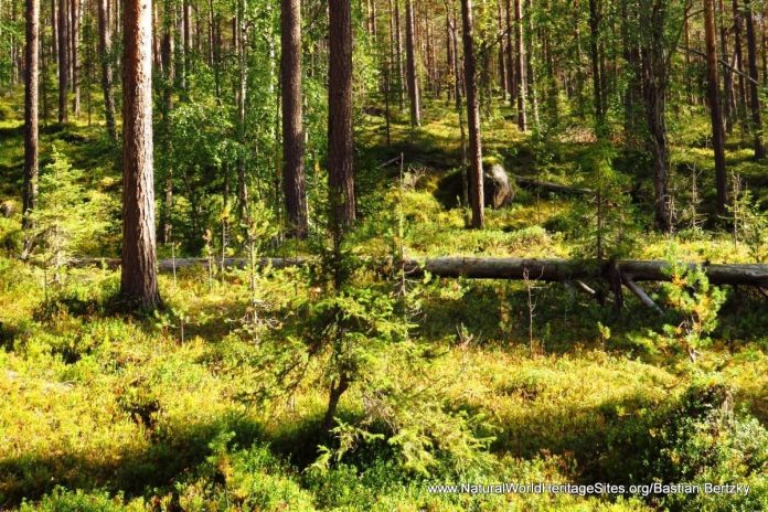 UNESCO Sites You Must See In Sweden