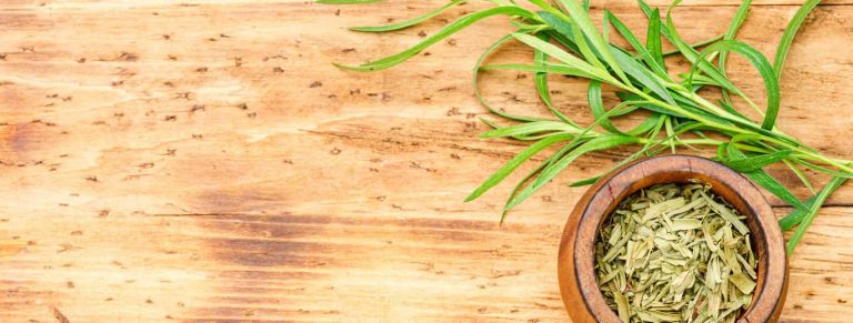 Tarragon in Scandinavia