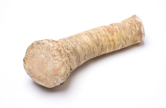 Scandinavian Horseradish