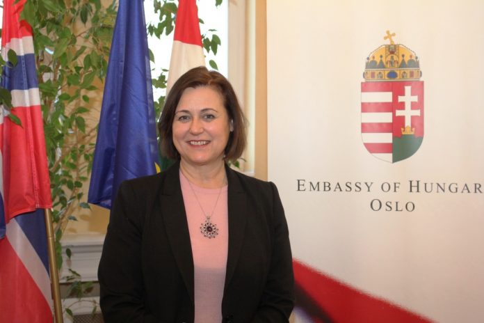 In Conversation With the Hungarian Ambassador to Norway