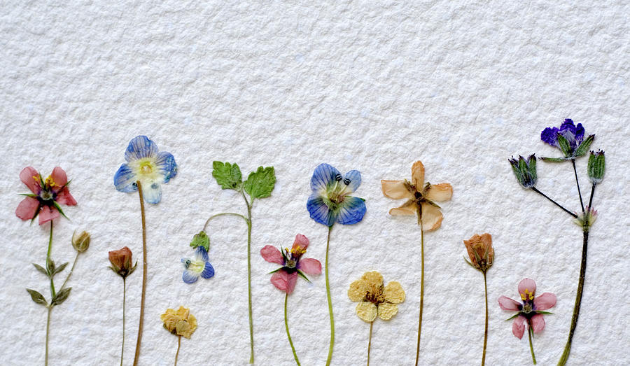 How to Decorate Your Home with Flowers Like the Scandinavians 