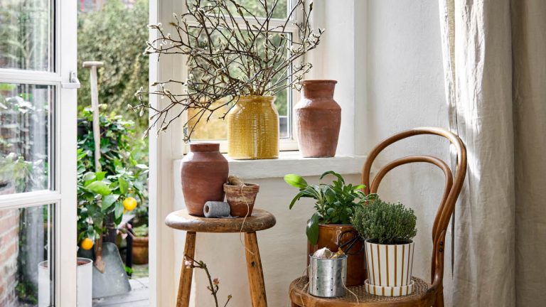 From Local Danish Store to a Global Operation in Only Ten Years