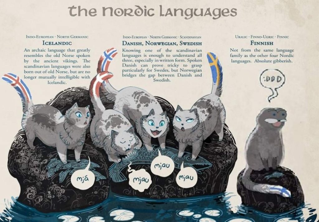 Understanding the Scandinavian language