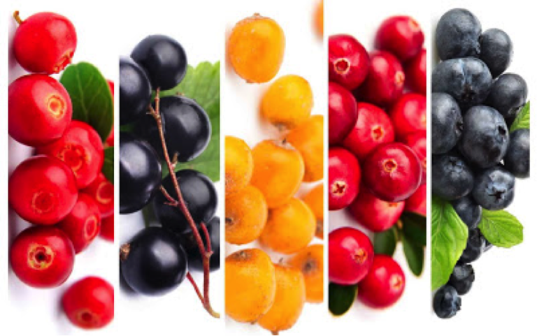 Scandinavian Berries