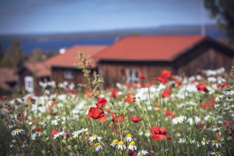 Sweden’s Folklore Province