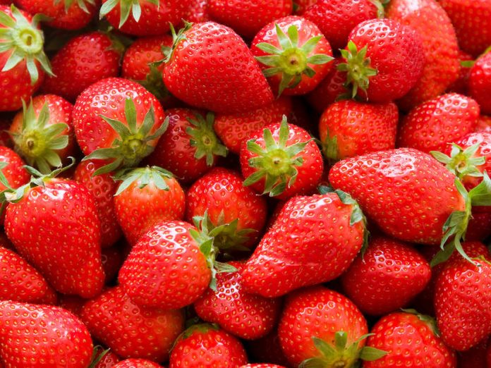 Scandinavians and Strawberries