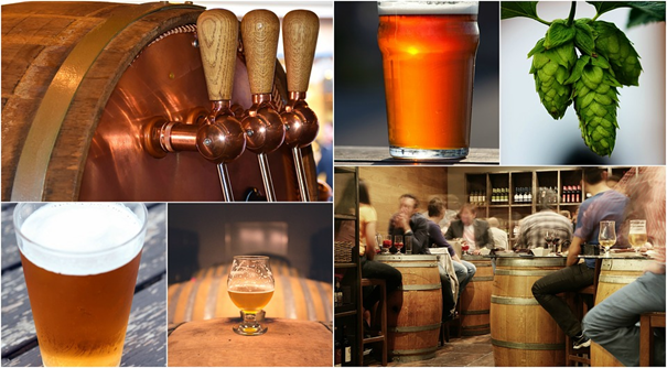 Brewery Tours in Copenhagen and Great Craft Beers to Try