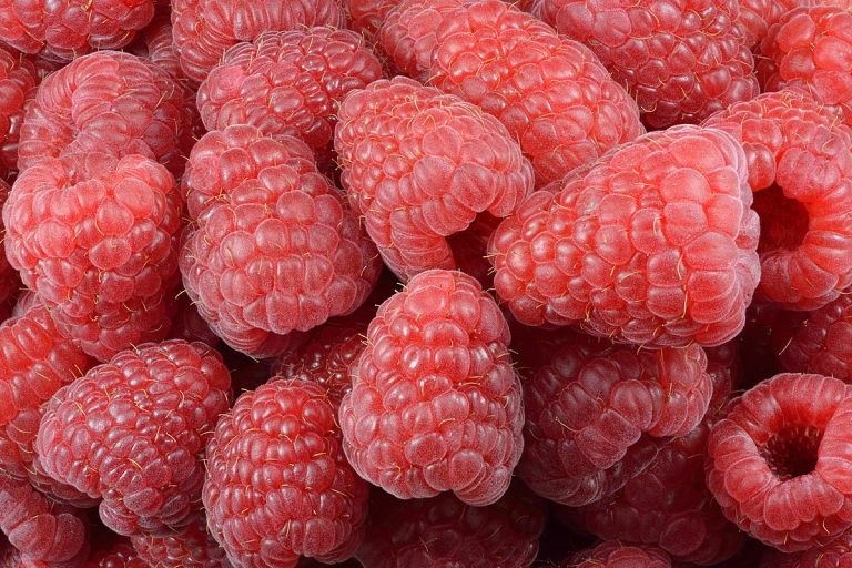 Scandinavian Raspberry