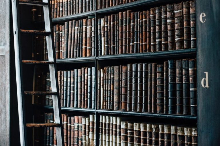 Why Scandinavia Might Be the Best Place to Study