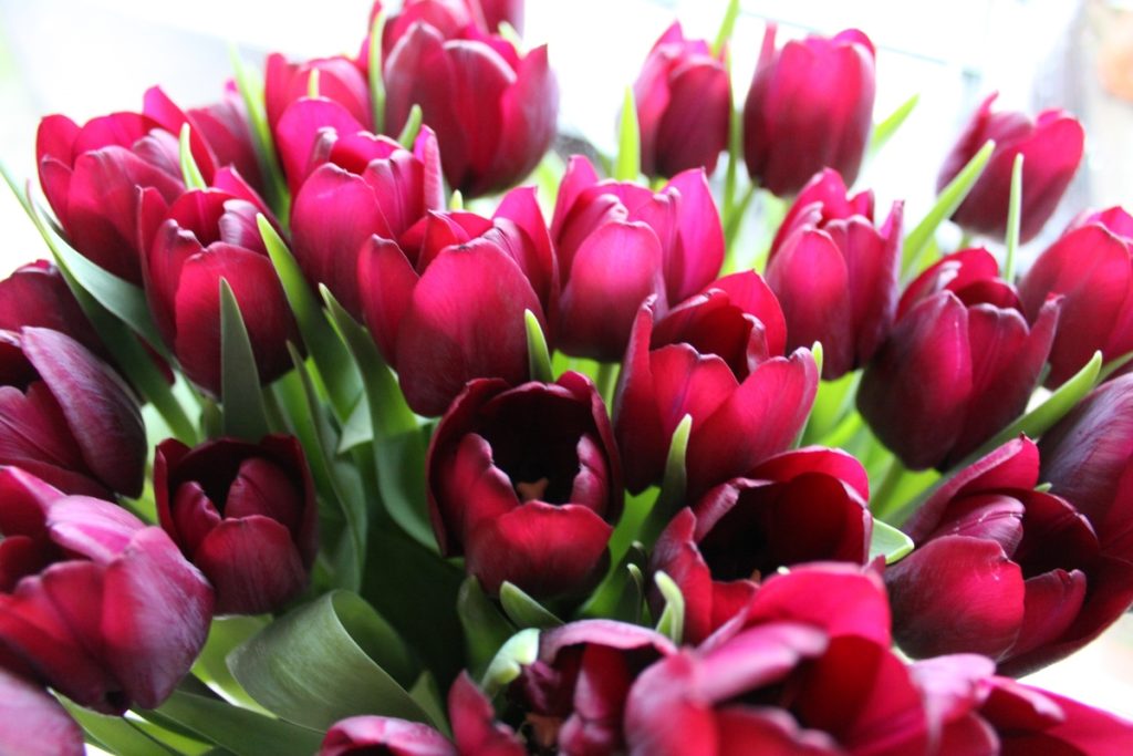 9 Different Ways Mother’s Day is Celebrated in Scandinavia
