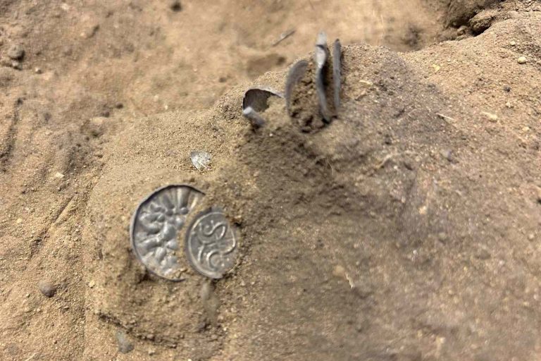 Young Girl Found 1,000-Year-Old Viking Coins in Denmark