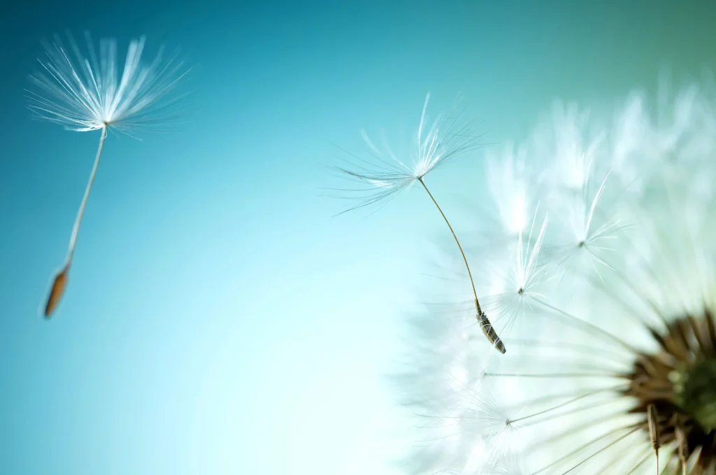 Do Scandinavian People Believe in Psychics?