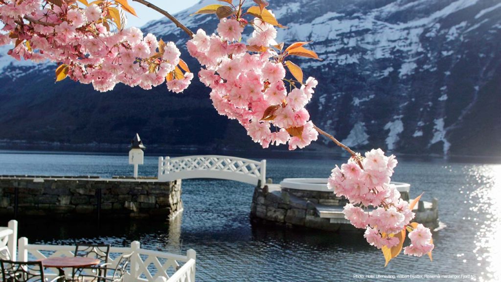 Beautiful Ulvik in Norway With Digital Tourist Information