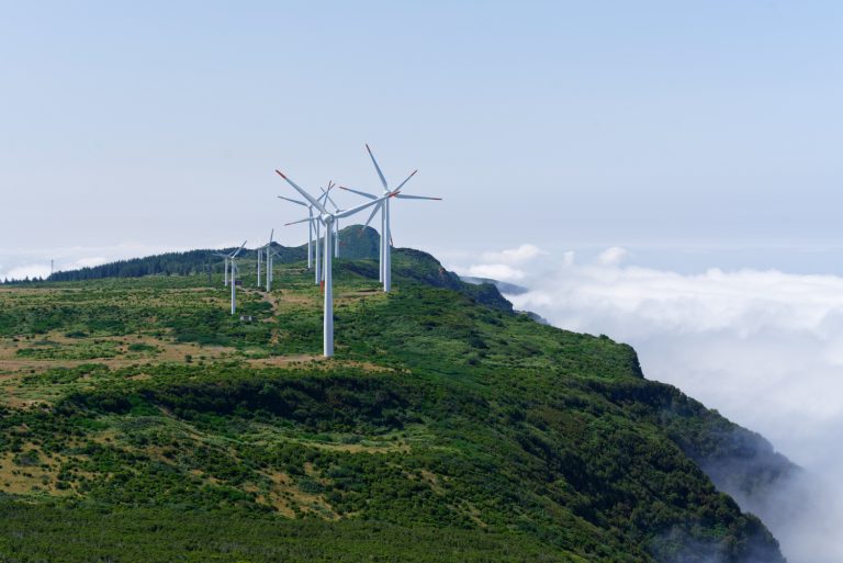 Making a Difference: How are Norway Businesses Setting Better Sustainability Standards?