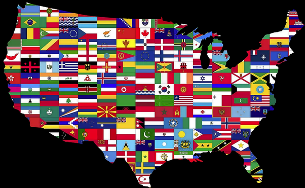 Exploring the Impact of Immigration Policies on Scandinavian Expats in the U.S.