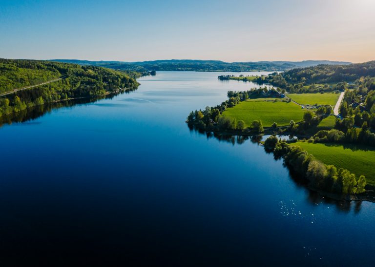 The Role of Nature in Scandinavian Mental Health and Well-being