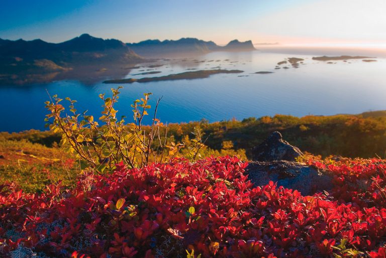 Arctic Autumn