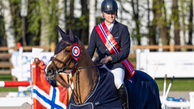 The Showjumping Norwegian