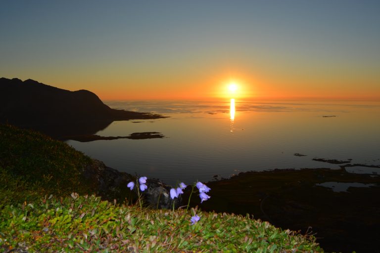 Best Places to Experience the Midnight Sun in Norway