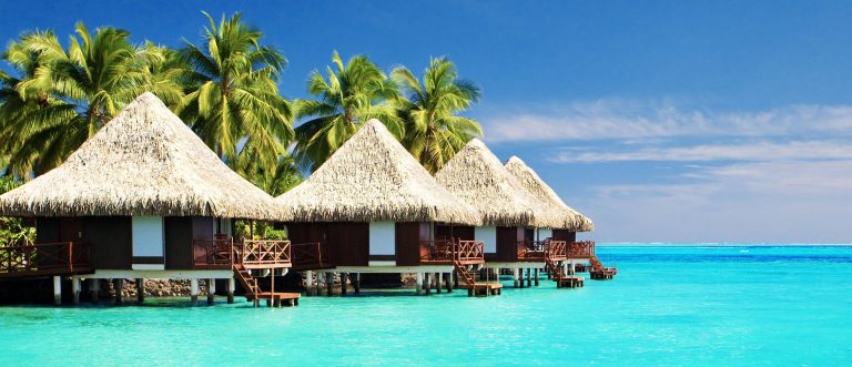 Daily Scandinavian Launches New Travel Partner