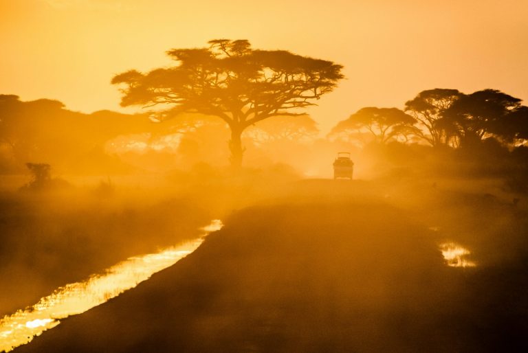 New Danish Strategy Titled ‘Africa’s Century’