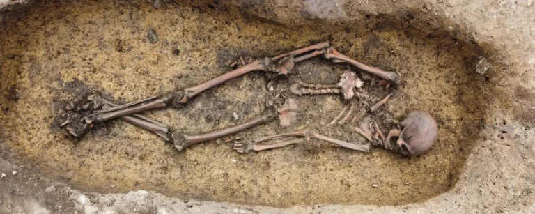 50 “Exceptional Well-Preserved” Viking Skeletons Unearthed in Denmark
